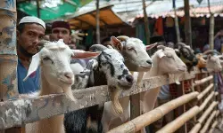 Panduan kurban lengkap: Niat, tata cara, dan syaratnya