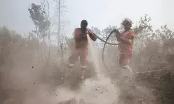 Kemenhut intensifkan pemadaman karhutla di sejumlah wilayah Riau