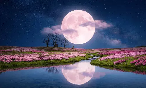 Pink Moon 2026: Kapan terjadi di Indonesia? Pink Moon 2026: Kapan terjadi di Indonesia?