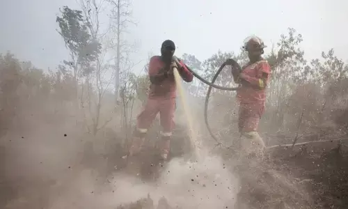 Kemenhut intensifkan pemadaman karhutla di sejumlah wilayah Riau