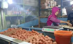 Harga bahan pokok pascalebaran di Depok mulai turun