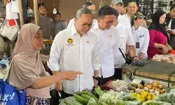 Harga cabai rawit merah masih tinggi, Zulhas: Tembus Rp100.000 per kg
