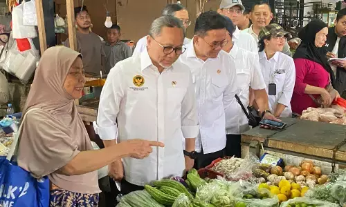 Harga cabai rawit merah masih tinggi, Zulhas: Tembus Rp100.000 per kg