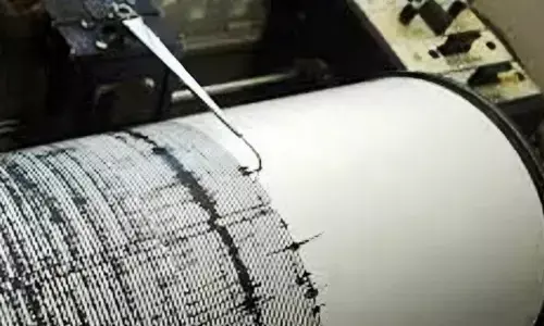 BMKG catat gempa bumi guncang Sultra 25 kali dalam sepekan