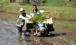 BRIN soroti adaptasi teknologi pertanian untuk hadapi perubahan iklim