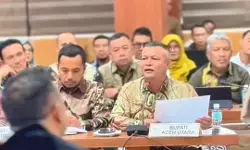 Bupati Jalil minta pemerintah pusat segera perbaiki 18 ribu hektar sawah rusak akibat bencana