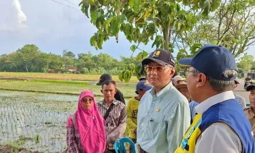 Menteri PU instruksikan pembangunan irigasi tersier untuk petani