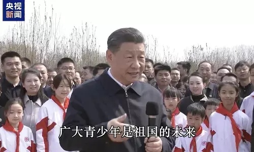 Menanam benih hijau ke dalam hati