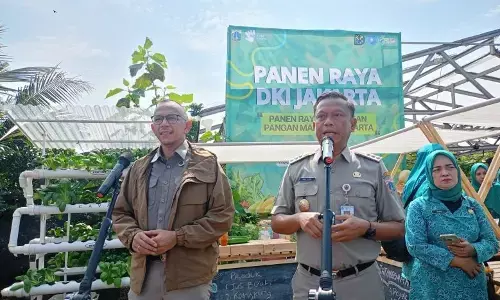 DKI targetkan 5 persen kebutuhan pangan lewat urban farming pada 2030