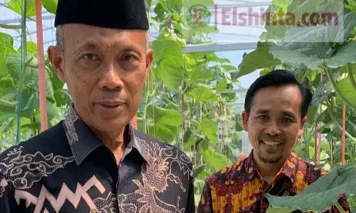 Bangun ketahanan pangan, legislator berbagi Ilmu pertanian modern