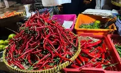 PIHPS: Harga cabai rawit merah Rp85.750/kg dan daging ayam Rp42.850/kg