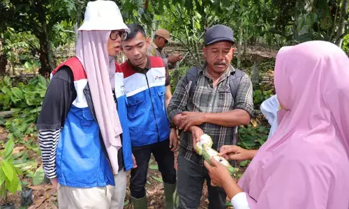 Ragam Program CSR PHE NSO: Dari beasiswa hingga tanggap bencana