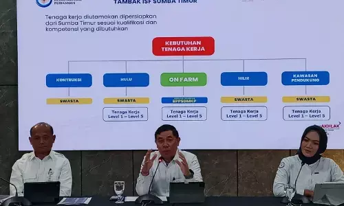 Investasi tambak udang Waingapu Rp7,2 T, KKP bidik devisa USD 285 juta
