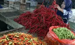 PIHPS: Harga cabai rawit merah Rp91.700/kg, daging ayam Rp39.800 kg