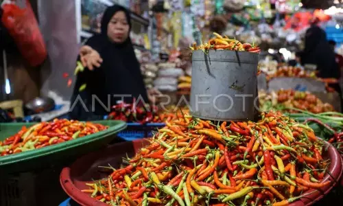 Cabai dan tomat picu inflasi Sulsel Maret 2026 sebesar 0,59 persen