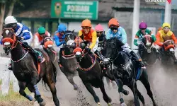 Shin Tae Yong bakal ramaikan lomba pacuan kuda IHRC di Stadion Sultan Agung Bantul Shin Tae Yong bakal ramaikan lomba pacuan kuda IHRC di Stadion Sultan Agung Bantul