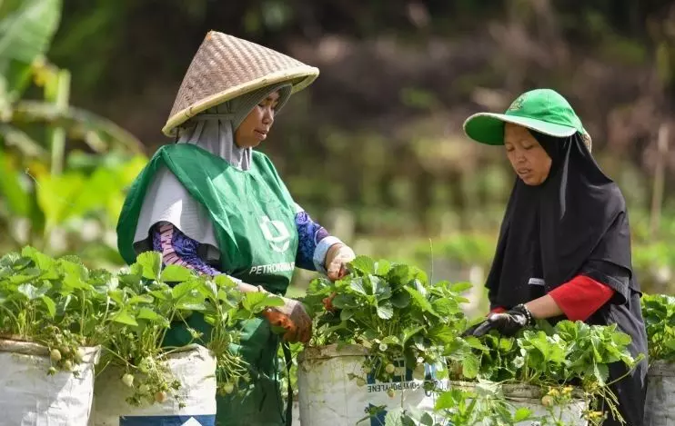 BRIN dorong peran komunitas dalam transformasi pemulihan pascabencana BRIN dorong peran komunitas dalam transformasi pemulihan pascabencana