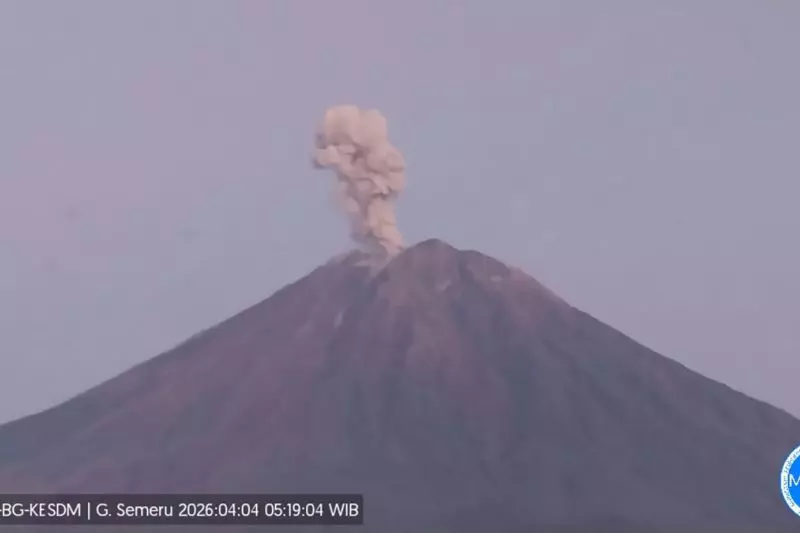 Semeru erupsi sembilan kali dengan tinggi letusan hingga 1.000 meter Semeru erupsi sembilan kali dengan tinggi letusan hingga 1.000 meter