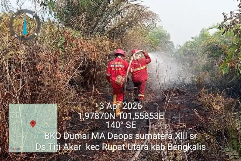BMKG deteksi 310 titik panas di Riau, Bengkalis Terbanyak BMKG deteksi 310 titik panas di Riau, Bengkalis Terbanyak