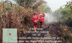 BMKG deteksi 310 titik panas di Riau, Bengkalis Terbanyak