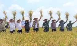 Bulog optimistis serap 4 Juta ton beras pada 2026