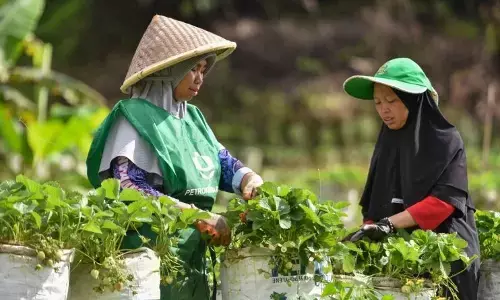 BRIN dorong peran komunitas dalam transformasi pemulihan pascabencana