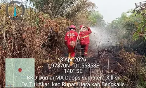 BMKG deteksi 310 titik panas di Riau, Bengkalis Terbanyak