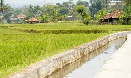 Kementan-PU perkuat irigasi antisipasi kekeringan Jateng Kementan-PU perkuat irigasi antisipasi kekeringan Jateng