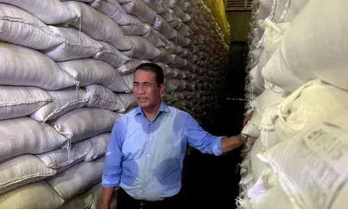 Mentan: Stok beras RI stabil 4,5 juta ton di tengah gejolak Timteng