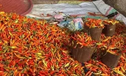 PIHPS: Harga cabai rawit merah Rp83.150/kg, daging ayam Rp44.000/kg