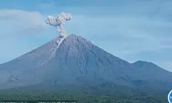 Gunung Semeru 7 kali erupsi dengan tinggi letusan hingga 1.100 meter