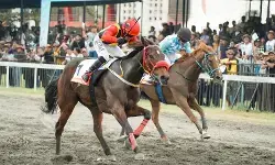 Kuda Maxi of Khalim buka jalan menuju gelar Triple Crown