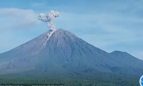 Gunung Semeru 7 kali erupsi dengan tinggi letusan hingga 1.100 meter