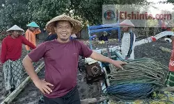 Peringatan Hari Nelayan, Riyono minta negara harus hadir melindungi kesejahteraan nelayan