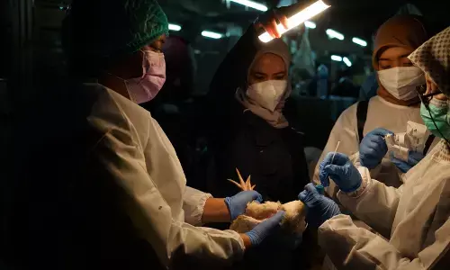 WHO apresiasi kepemimpinan Indonesia dalam One Health, kurangi risiko penyakit Zoonosis