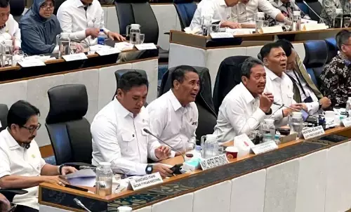 Kepala Bapanas sebut neraca pangan nasional surplus dan aman