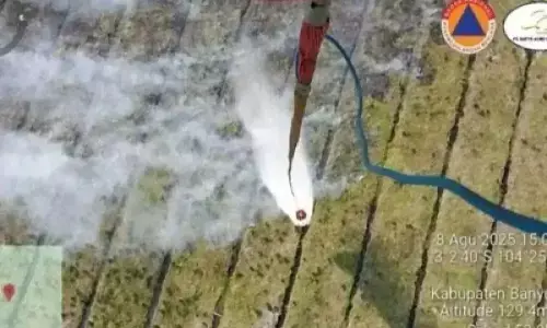 Sebanyak 12 daerah di Sumsel rawan karhutla