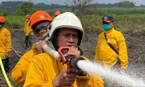 BPBD Kaltim: Strategi Pagar Betis antisipasi karhutla di lingkar IKN