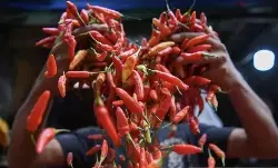 PIHPS: Harga cabai rawit merah Rp86.150/kg, daging ayam Rp42.050/kg