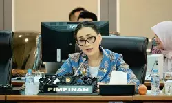 Anggota DPR: Kepatuhan Meta ke PP Tunas bukti Komdigi buahkan hasil