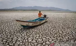 BMKG Jatim Pantau indikasi kemunculan El Nino