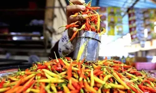 Sabtu, harga cabai rawit merah Rp83.100/kg, telur ayam Rp32.550/kg