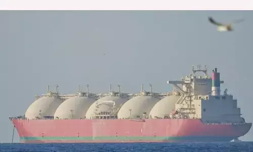 D8: Pakistan, Turki, Mesir terlibat aktif dalam upaya mediasi TimTeng