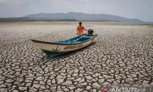 BMKG Jatim Pantau indikasi kemunculan El Nino