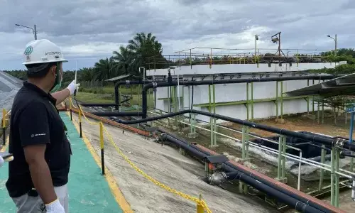 Pakar IPB: Optimalisasi limbah sawit mampu perkuat ketahanan ekonomi