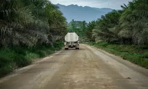 Program biodiesel efektif tekan impor BBM nasional