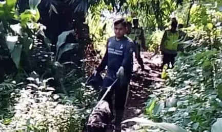 Kerahkan anjing pelacak, Polres Kudus buru pelaku curanmor, lima motor curian diamankan