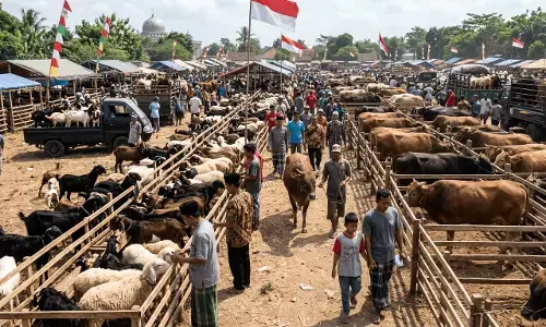 Lonjakan permintaan hewan kurban terjadi jelang Iduladha 2026 Lonjakan permintaan hewan kurban terjadi jelang Iduladha 2026