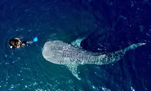 Kemenpar siapkan langkah strategis untuk tingkatkan keamanan berwisata